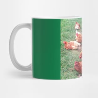 Vineyard With Chickens Mug